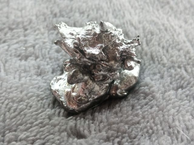 ช่อเงินยวง รูปที่ 2