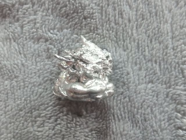 ช่อเงินยวง รูปที่ 13