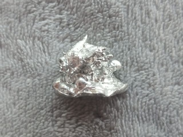 ช่อเงินยวง รูปที่ 12