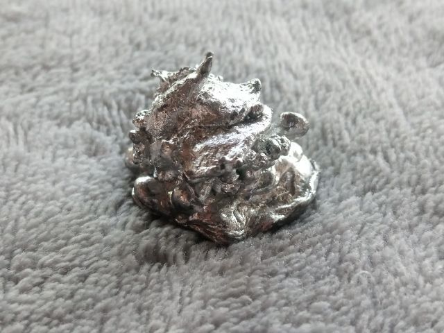 ช่อเงินยวง รูปที่ 5