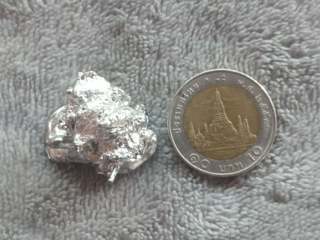 ช่อเงินยวง รูปที่ 15