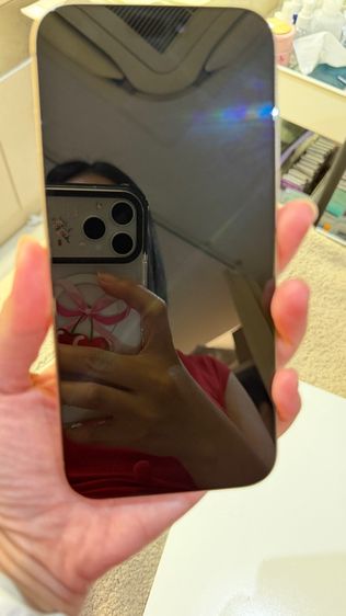 IPHONE 16 PRO MAX 256gb สภาพนางฟ้า รูปที่ 16