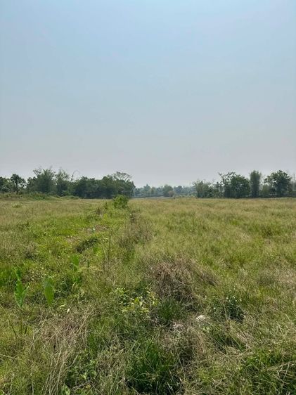 ขายที่ดินเชียงใหม่ รูปที่ 4