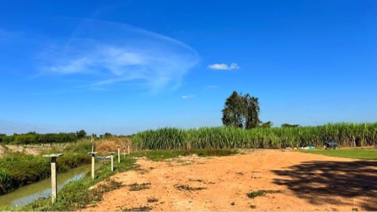 ใช่ ที่ดินแบ่งขาย