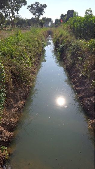 ใช่ ที่ดินแบ่งขาย รูปที่ 4