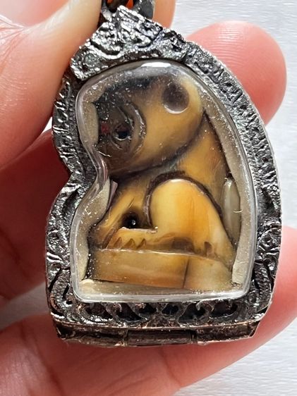 เสือเก่าๆไม่ทราบที่