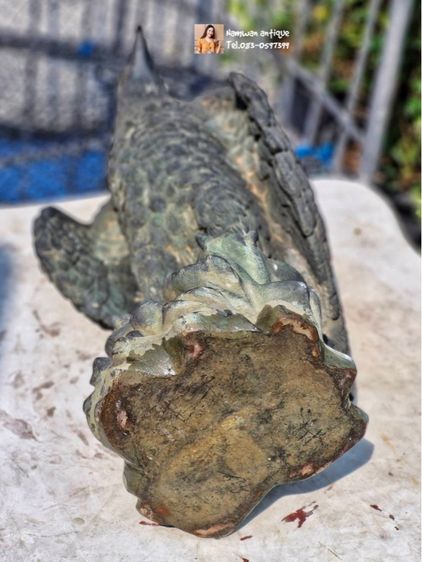 อินทรีทองเหลืองเก่า รูปที่ 4