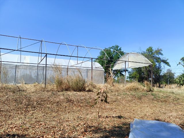 โครงสร้างเหล็กโรงเรือน ขนาด6×21เมตร สภาพดี รูปที่ 2