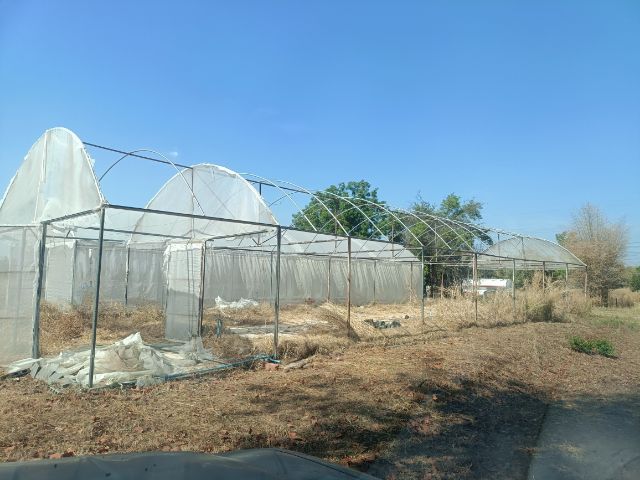 โครงสร้างเหล็กโรงเรือน ขนาด6×21เมตร สภาพดี รูปที่ 3