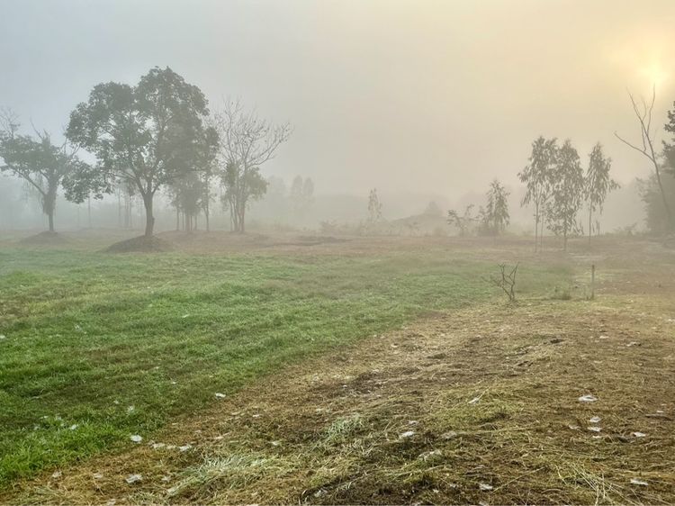 ใช่ ที่ดินลับในสายหมอก หนาวมาก รูปที่ 4