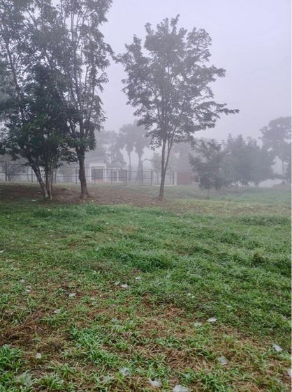 ใช่ ที่ดินลับในสายหมอก หนาวมาก รูปที่ 2