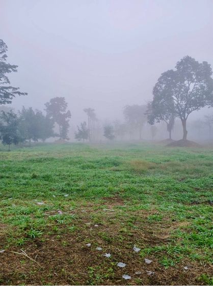 ที่ดินลับในสายหมอก หนาวมาก