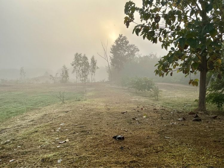 ใช่ ที่ดินลับในสายหมอก หนาวมาก รูปที่ 3