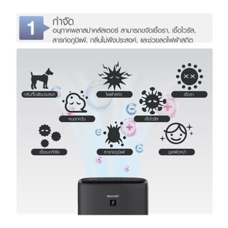 เครื่อฟอกอากาศ รูปที่ 6