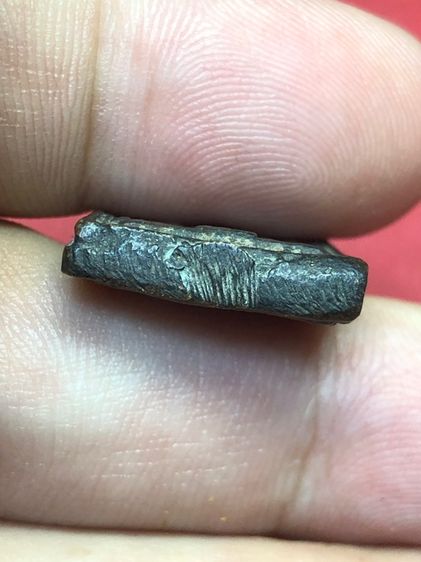 หลวงพ่อทารุ่นแรก รูปที่ 7