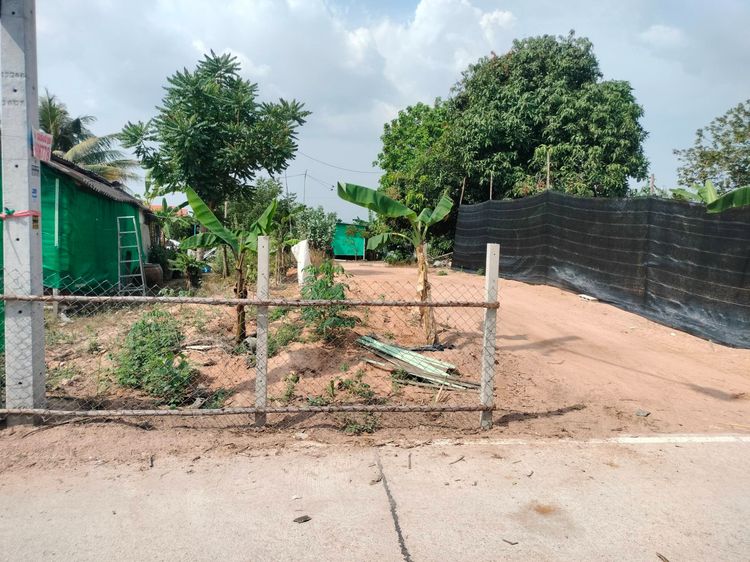 ขายที่ดิน – หนองไม้แก่น 15