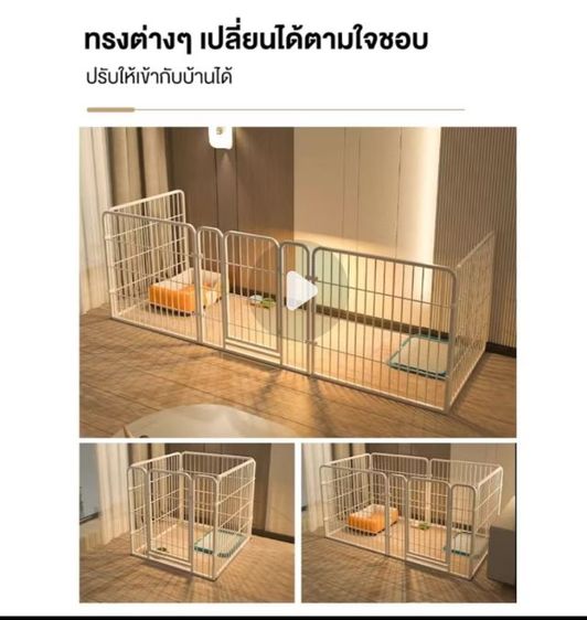 กรงสีขาว รูปที่ 3