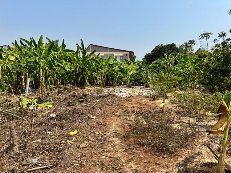 ใช่ ขายที่ดิน บางบัวทอง รูปที่ 2