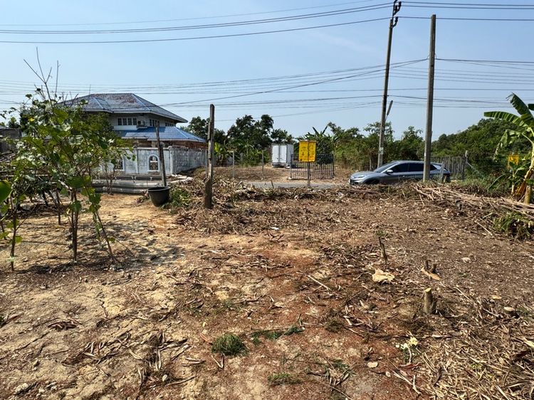 ใช่ ขายที่ดิน บางบัวทอง รูปที่ 3