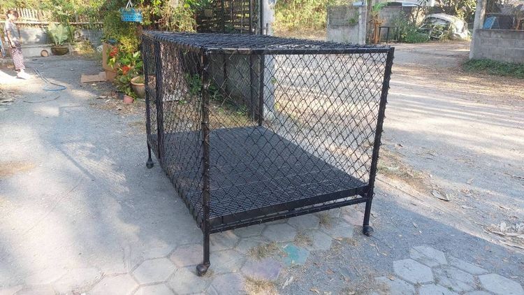 กรงสัตว์เลี้ยง เชียงใหม่ รูปที่ 5