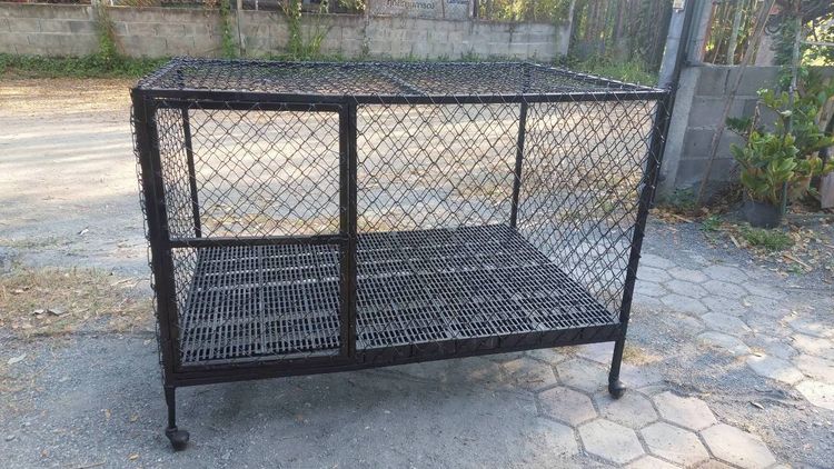 กรงสัตว์เลี้ยง เชียงใหม่ รูปที่ 8