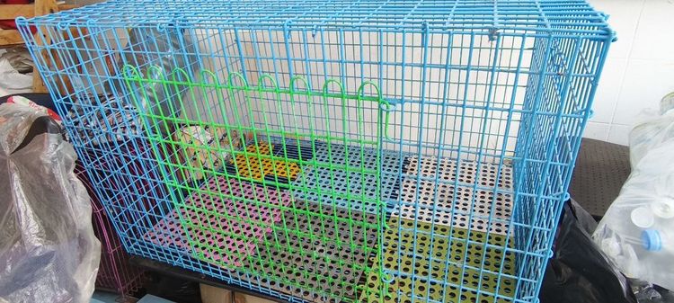 กรงกระต่าย