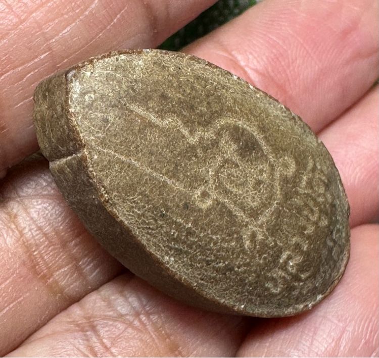 พระสิวลี หลวงปู่โต๊ะ วัดประดู่ฉิพระผงสีวลี ลป.โต๊ะพิมพ์รูปไข่ เนื้อผงเกสร ฝังตะกรุด ปี2521 รูปที่ 6