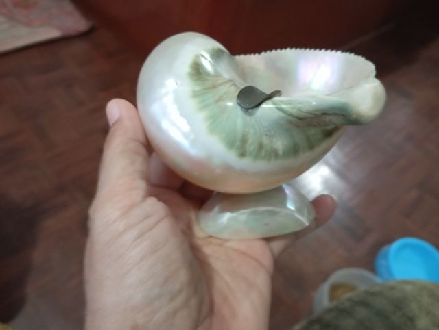 ที่เขี่ยบุหรี่หอยมุกพังงา รูปที่ 2