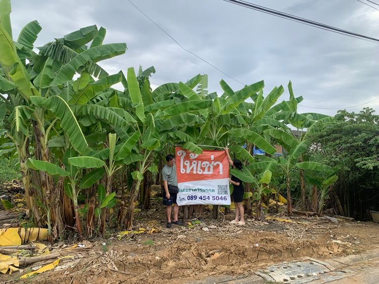 ที่ดินถมแล้ว คู้บอน 27 ซอย 5 ขนาดิ50 ตร.ว.