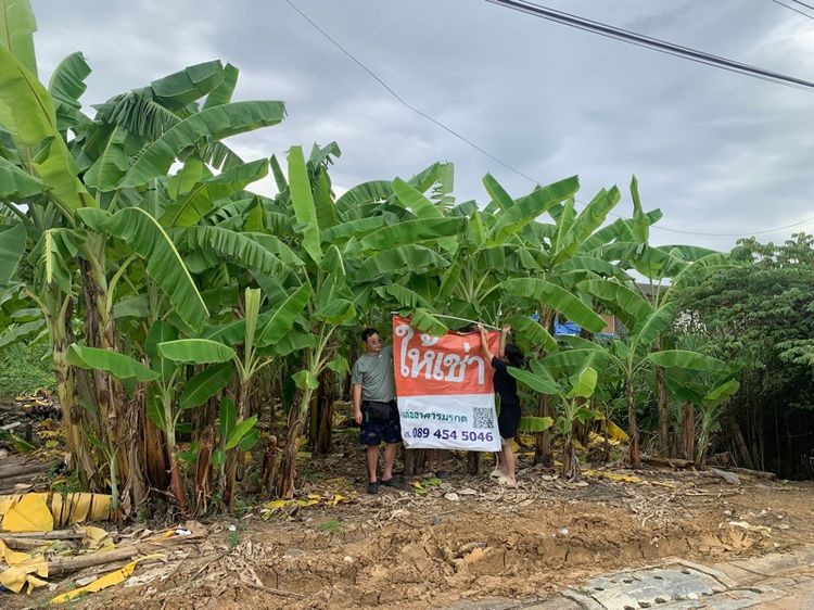 ไม่ใช่ ที่ดินถมแล้ว คู้บอน 27 ซอย 5 ขนาดิ50 ตร.ว. รูปที่ 2