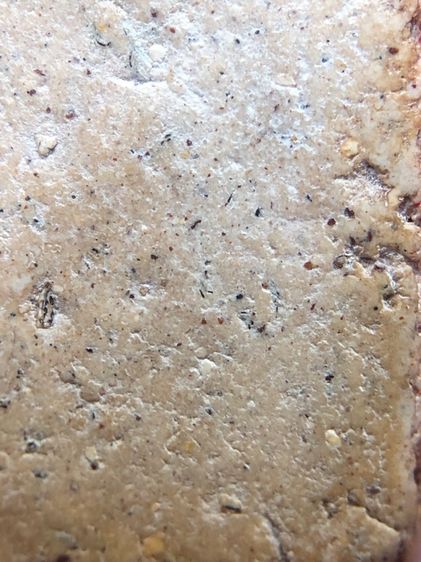 พระผงขุดสระ รูปที่ 9