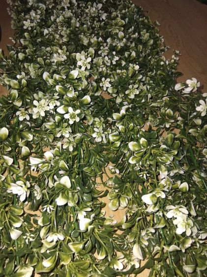 🌿 เถาวัลย์พืชประดิษฐ์ งานเหมือนจริง
ยาว 1.5 เมตร
เส้นละ 110.-
เหมา 4 เส้น 400.- 🔥
 รูปที่ 8