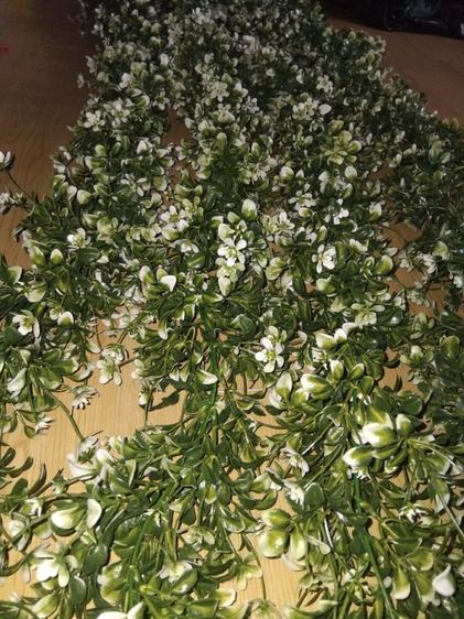 🌿 เถาวัลย์พืชประดิษฐ์ งานเหมือนจริง
ยาว 1.5 เมตร
เส้นละ 110.-
เหมา 4 เส้น 400.- 🔥
 รูปที่ 7