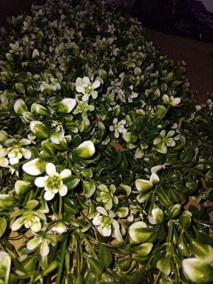 🌿 เถาวัลย์พืชประดิษฐ์ งานเหมือนจริง
ยาว 1.5 เมตร
เส้นละ 110.-
เหมา 4 เส้น 400.- 🔥
 รูปที่ 2