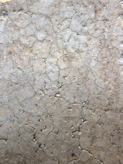 พระสมเด็จ รูปที่ 10