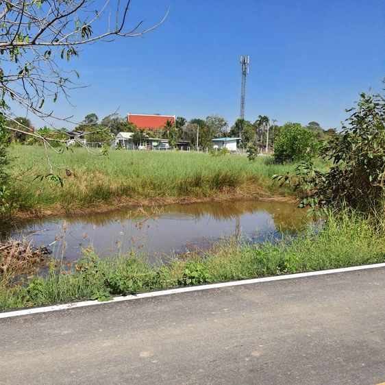 ขายที่ดินสวยราคาถูก 1ไร่37 ตรว. ใกล้มศว.องครักษ์อยู่ในแหล่งชุมชน ทำหอพักค้าขายได้ เลดีติดถนน รูปที่ 4