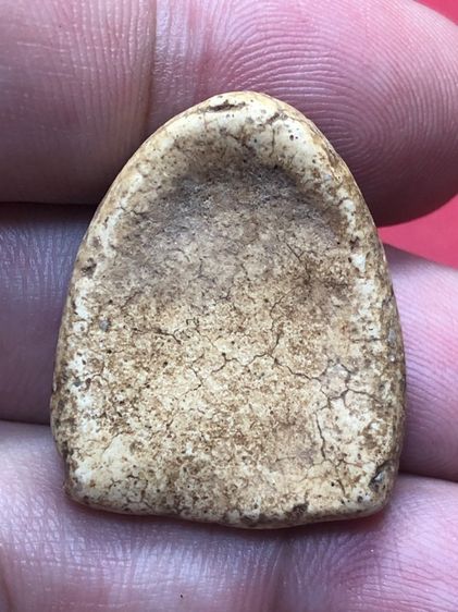 พระสังกัจจายน์วัดเงินคลองเตย รูปที่ 6