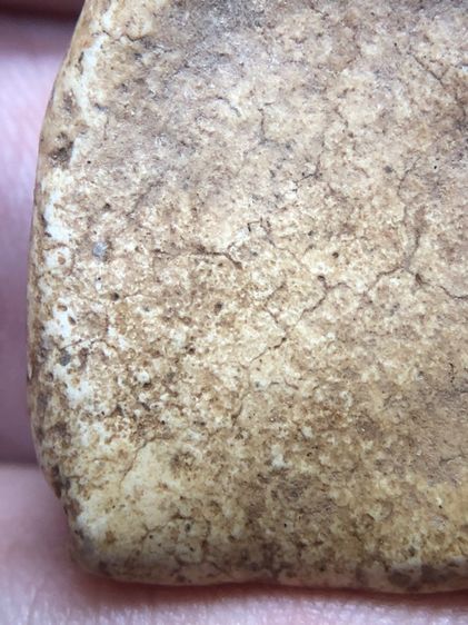 พระสังกัจจายน์วัดเงินคลองเตย รูปที่ 9