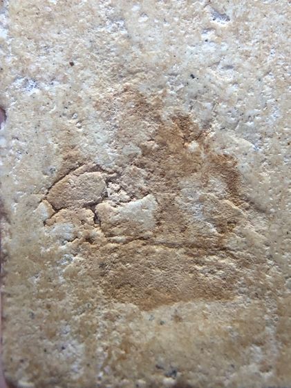 พระสมเด็จวัดระฆัง รูปที่ 8