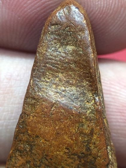 พระผงสุพรรณเนื้อดิน รูปที่ 9