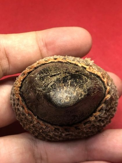 เครื่องราง รูปที่ 6