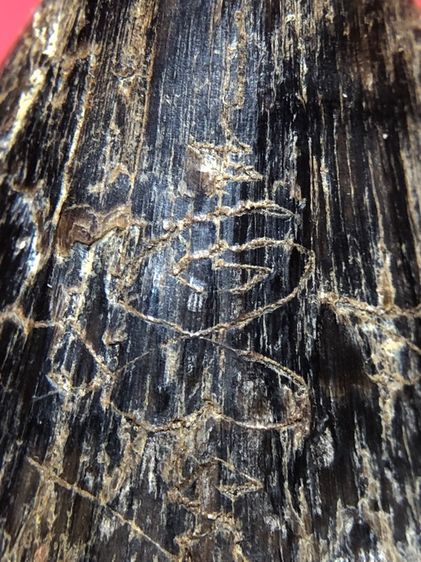 เครื่องราง รูปที่ 7