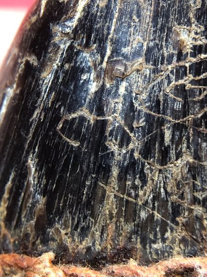 เครื่องราง รูปที่ 9