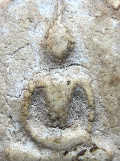 สมเด็จวัดระฆัง รูปที่ 5