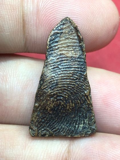 พระผงสุพรรณเนื้อดิน รูปที่ 6