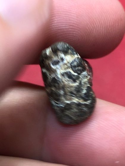 พระปิดตาหลวงปู่เอี่ยมสองหน้าตะกั่ว รูปที่ 8