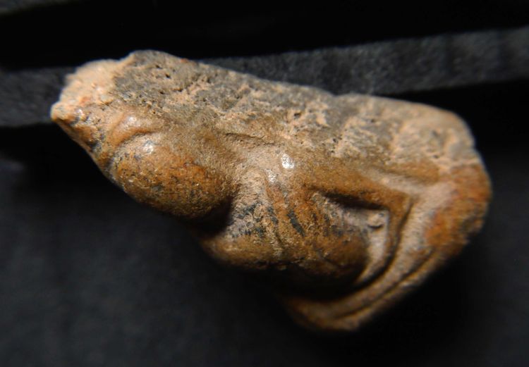 พระนางพญา พิมพ์ อกนูนใหญ่  รูปที่ 3