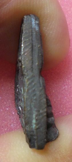 พระหล่อ ไม่ทราบที่ รูปที่ 3