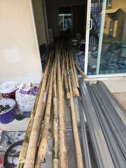 ขายเคลียร์ไม่ไผ่ สำหรับงานนั่งร้านทาสี ความยาว 6 เมตร จำนวน 25 ต้น พร้อมไม้ขนาด 3-4 และไม้ขันชน็อค 1 มัด รูปที่ 3