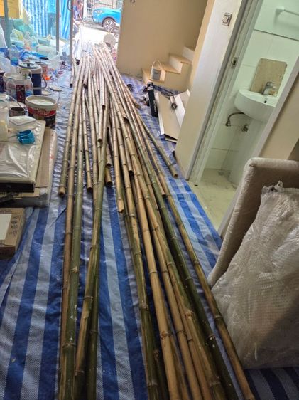 ขายเคลียร์ไม่ไผ่ สำหรับงานนั่งร้านทาสี ความยาว 6 เมตร จำนวน 25 ต้น พร้อมไม้ขนาด 3-4 และไม้ขันชน็อค 1 มัด รูปที่ 4